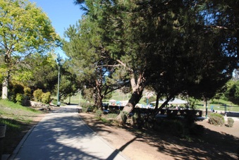 Enlarge photo 40