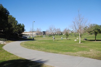 Enlarge photo 43