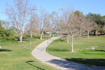 Enlarge photo 44
