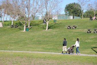 Enlarge photo 45