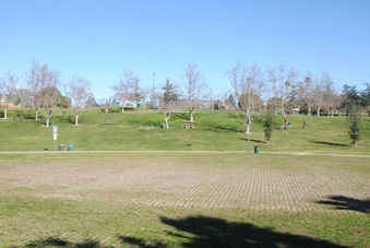 Enlarge photo 52