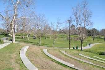 Enlarge photo 57