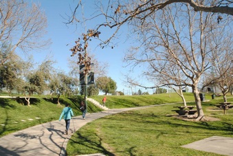 Enlarge photo 62