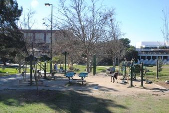Enlarge photo 79