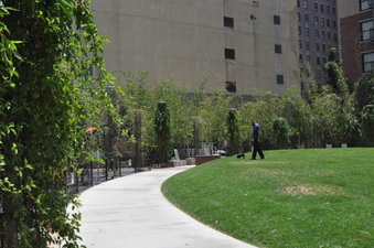 Enlarge photo 7