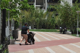 Enlarge photo 23