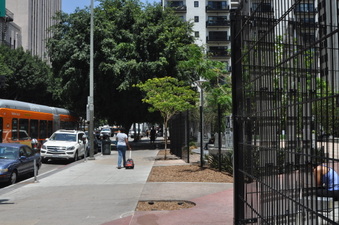 Enlarge photo 32