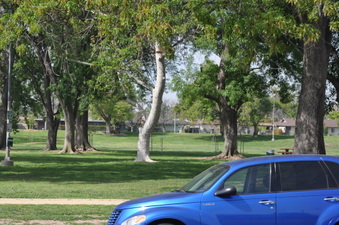 Enlarge photo 12