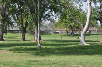 Enlarge photo 14