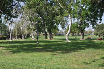 Enlarge photo 19