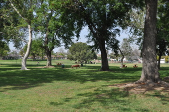 Enlarge photo 21