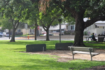 Enlarge photo 5