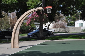 Enlarge photo 13