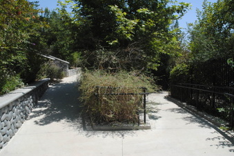 Enlarge photo 7