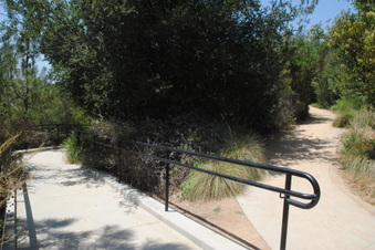 Enlarge photo 21