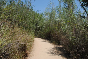 Enlarge photo 23