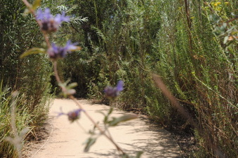 Enlarge photo 24
