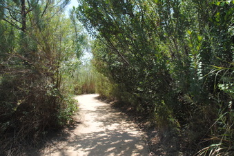 Enlarge photo 25