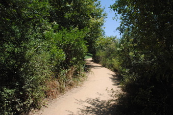 Enlarge photo 26