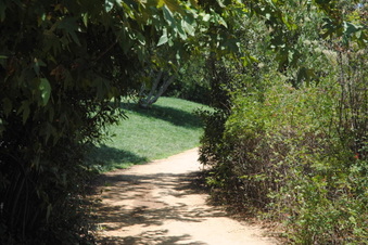 Enlarge photo 27