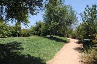 Enlarge photo 28