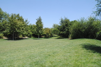 Enlarge photo 29