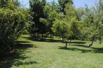 Enlarge photo 31