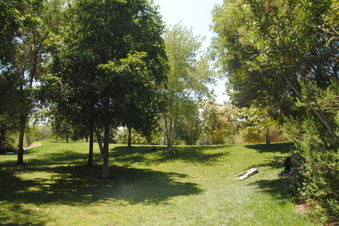 Enlarge photo 34