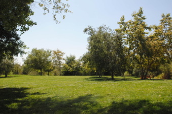 Enlarge photo 35