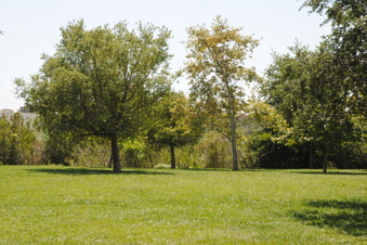 Enlarge photo 36