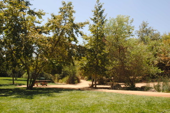 Enlarge photo 37