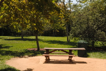Enlarge photo 38