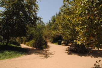 Enlarge photo 39
