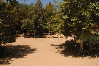 Enlarge photo 40