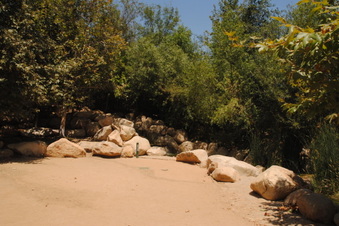 Enlarge photo 41