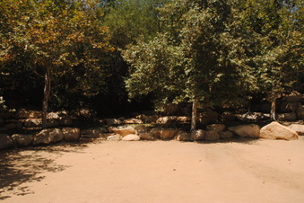 Enlarge photo 42