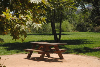 Enlarge photo 44