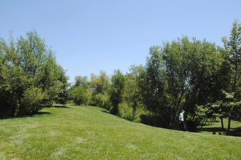 Enlarge photo 46
