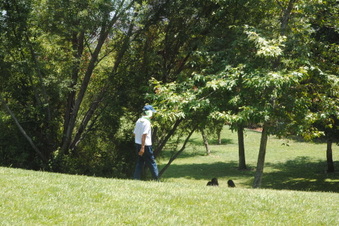 Enlarge photo 47