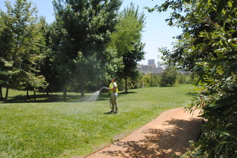 Enlarge photo 48
