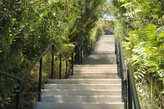 Enlarge photo 51