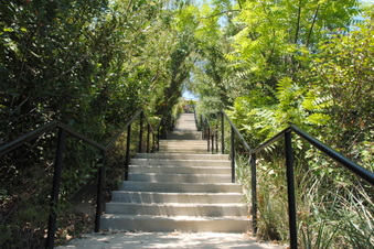 Enlarge photo 53