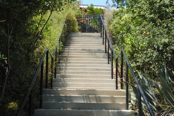 Enlarge photo 55