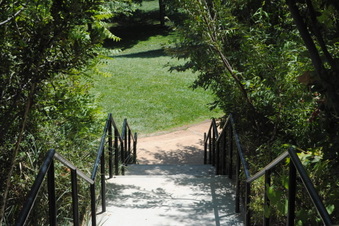Enlarge photo 57