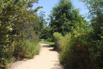 Enlarge photo 62