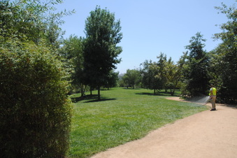 Enlarge photo 63