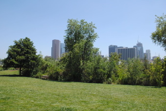 Enlarge photo 67