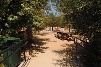 Enlarge photo 70