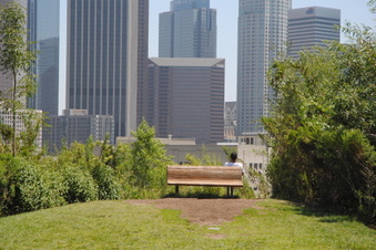 Enlarge photo 83