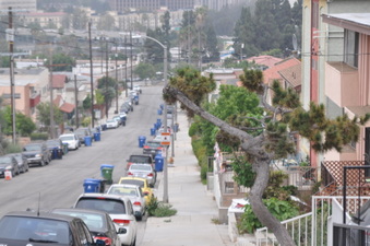 Enlarge photo 7